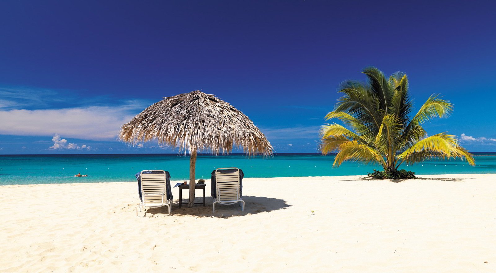 Best Beach Vacation Ideas  Traveling Kitty
